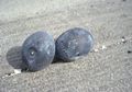 Di Jepang, Ada Telur yang Kulitnya Berwarna Hitam, lo