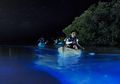 Wisata Malam di Mosquito Bay, Laut Bercahaya Paling Indah di Dunia