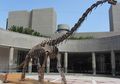 Mengapa Dinosaurus di Masa Pra-Sejarah Banyak yang Berukuran Besar?