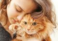 7 Cara Menunjukkan Rasa Sayang ke Kucing yang Bisa Ia Mengerti