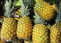 Wah, Rupanya Buah Nanas Baik untuk Kesehatan Rambut Kita, lo