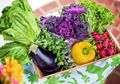Tidak Suka Makan Sayur? Siasati dengan 5 Cara Ini Agar Suka Sayur