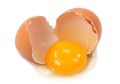 Mengapa Ada Telur Ayam yang Menetas dan Ada Telur Ayam yang Dimakan?