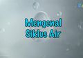 Sumber Air Bersih Mulai Berkurang, Cari Tahu Tentang Siklus Air, yuk!