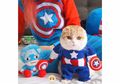 Lucunya Kucing Menggunakan Kostum Karakter Marvel, yang Mana Favoritmu?
