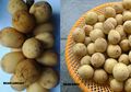 Tampak Mirip, Apa Bedanya Buah Duku dan Buah Langsat? #AkuBacaAkuTahu