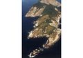 Snake Island, Pulau Terlarang yang Dihuni Ratusan Ribu Ular