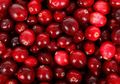 Sudah Dikonsumsi Sejak Tahun 1550, Cari Tahu Fakta Cranberry, yuk!