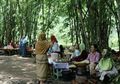 Pasar Papringan, Pasar Bambu Tradisional Kedu