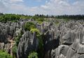 Shilin Stone Forest, Hutan Batu di Yunnan