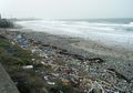 Dari Mana Sampah Plastik di Laut Berasal? Lalu, Apa Efeknya Bagi Makhluk Hidup?