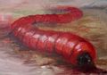 Mulai dari Bigfoot Sampai Mongolian Death Worm, Inilah 7 Makhluk Misterius di Dunia