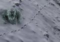 Misteri Yeti, Monster Salju Himalaya