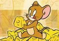 Ternyata, Tikus Tidak Suka Keju