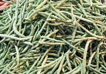 Walaupun Sering Disebut Sayur Buncis, Ternyata Buncis adalah Buah