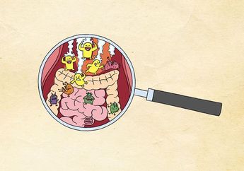 Ternyata Manusia Masih Bisa Hidup Meski Tidak Punya 5 Organ Tubuh Ini