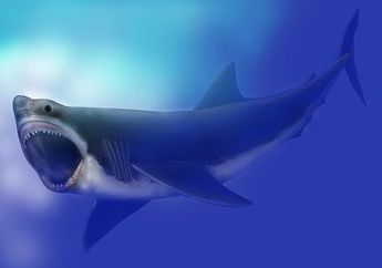 Peneliti Menemukan Sebab Lain Punahnya Hiu Megalodon, Cari Tahu, yuk!