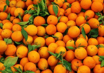 Buah-buahan Ini Bisa Membuat Perut Kenyang Lebih Lama, Coba Yuk!