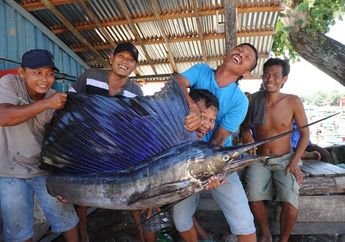 Serunya Berburu Ikan Marlin, Harus Berlayar Jauh Sampai Samudra Hindia