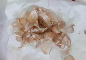 Mulai dari Sisa Kulit Bawang sampai Cangkang Telur akan Dibuang, Padahal Bisa Menyuburkan Tanaman
