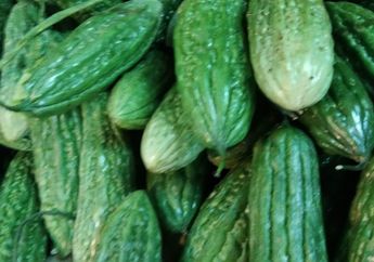 Ini Dia Penyebab Rasa Pahit Buah Pare dan Cara Menghilangkannya