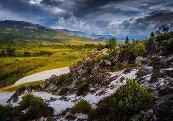 Berkunjung ke Wamena, Kota Kecil di Atas Pegunungan Jayawijaya