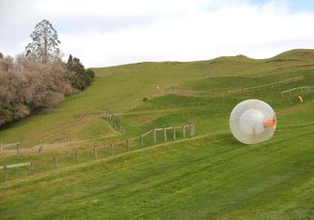 Berani Melakukan Zorbing? Olahraga Ekstrem di dalam Bola Raksasa