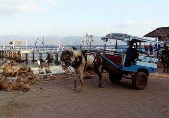 Cidomo, Transportasi Ramah Lingkungan yang Berasal Dari Lombok