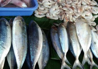 Serba-Serbi Alergi Makanan Laut, Apakah Kamu Mengalaminya?