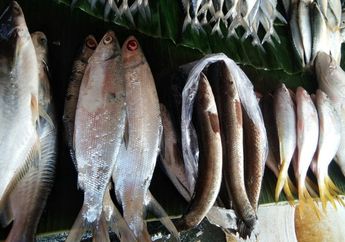 Tiga Hal yang Perlu Diperhatikan Saat Mengolah Ikan, Sudah Tahu?