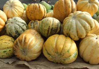 Blewah, Buah Mirip Melon dengan Berbagai Manfaat dan Rendah Kalori