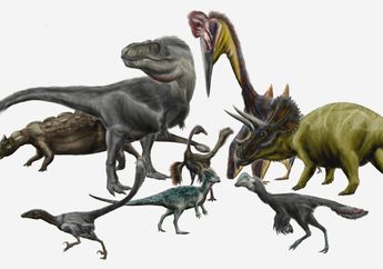 Apa Jadinya, Jika Dinosaurus Tidak Punah dan Masih Ada Sampai Sekarang?