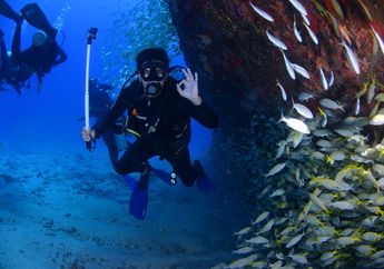 Diving, Olahraga Menyelam Sambil Menikmati Keindahan Bawah Laut