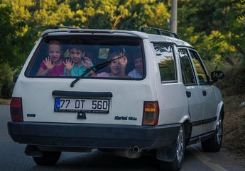 Sejarah Alat Transportasi Darat, Bermula dari Menggunakan Hewan