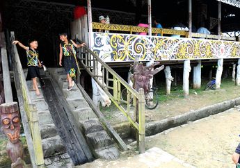 Bisa Dihuni oleh 100 Orang, Inilah Keunikan Rumah Lamin Suku Dayak