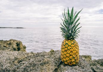 Suka Makan Buah Nanas? Ternyata Ini Manfaatnya bagi Tubuh Kita