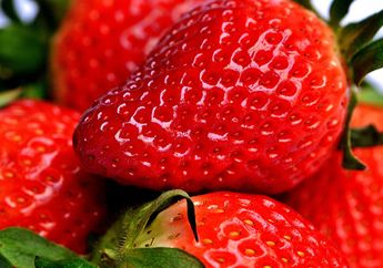 Suka Stroberi? Inilah Manfaat Mengonsumsi Buah Stroberi untuk Tubuh