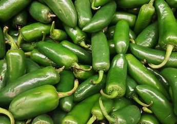 Meski Pedas, Cabe Jalapeno Punya Beberapa Manfaat untuk Kita