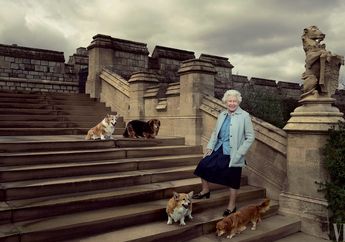 Inilah 6 Hewan Peliharaan Ratu Elizabeth II, Ada Paus dan Lumba-Lumba!