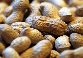 Meski Harganya Murah, Kacang-kacangan Ini Baik untuk Kesehatan Kita