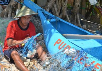Cerita Nelayan Lobster di Pantai Watukarung, Ternyata Menangkap Lobster Tidak Bisa Sembarangan