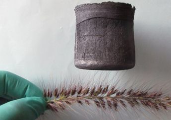 Graphene Aerogel, Benda Padat yang Tujuh Kali Lebih Ringan dari Udara