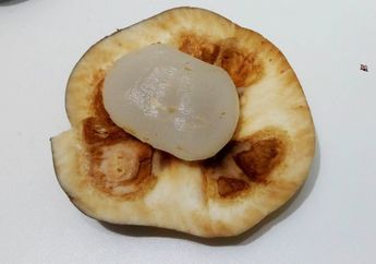 Manfaat Tak Terduga dari Buah Lontar, Mencegah Dehidrasi Hingga Menyehatkan Ginjal