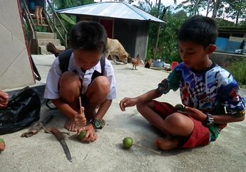 Gasing dari Jambu Biji Kreasi Anak Toraja, Mau Coba?