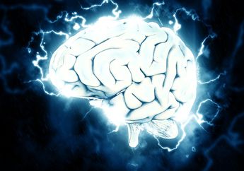Berencana Tes IQ? Ketahui Dulu 4 Fakta Seputar IQ