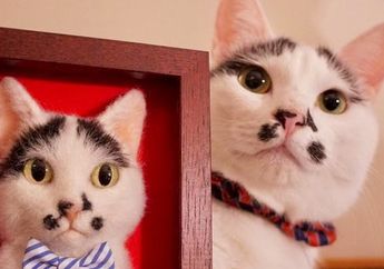 Keren! Seniman Jepang Membuat Potret Kucing Tiga Dimensi dengan Benang Wol