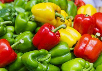 Suka Mengonsumsi Paprika? Paprika Baik untuk Penderita Diabetes, lo!