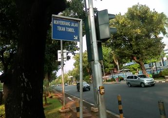 Pelican Crossing Itu Apa, ya? Apa Bedanya dengan Zebra Cross?