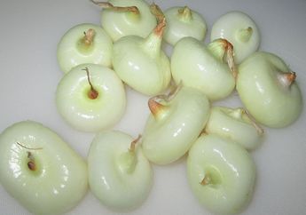 3 Jenis Bawang yang Jarang Ditemui di Indonesia, Sudah Pernah Coba?