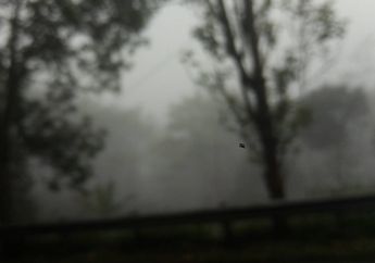 Kabut, Awan, dan Embun, Sebenarnya Ketiganya Sama atau Berbeda?